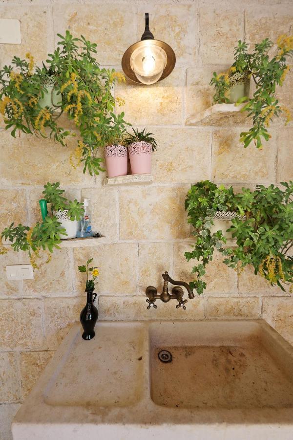 Villa Dvori Dida Mile Sveti Petar  Ngoại thất bức ảnh