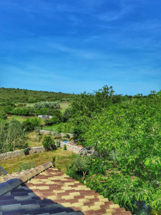 Villa Dvori Dida Mile Sveti Petar  Ngoại thất bức ảnh