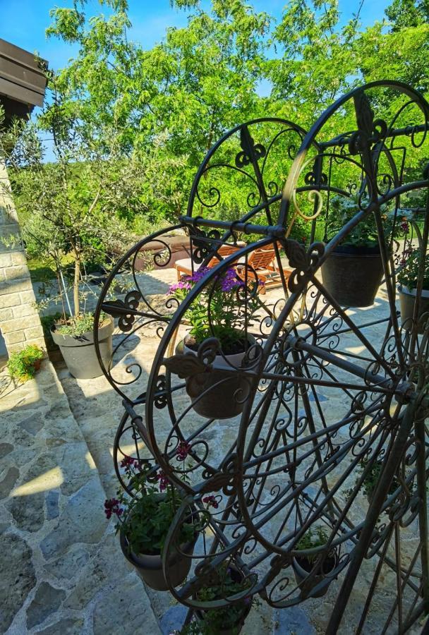 Villa Dvori Dida Mile Sveti Petar  Ngoại thất bức ảnh